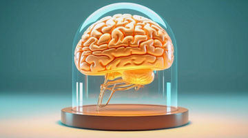 Antioxidant supplements for the brain