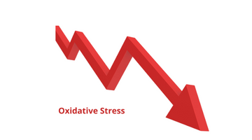 How to reduce oxidative stress